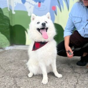 Meet your Posher, Alison